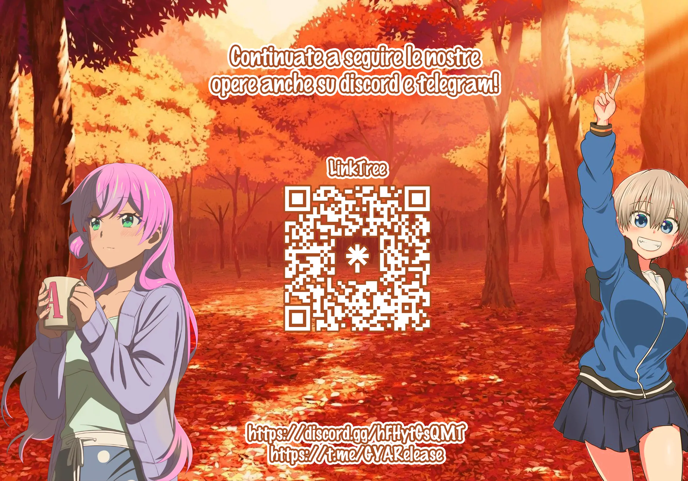 52200135 2312 1618 403608